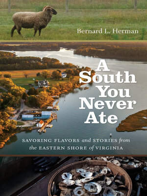 cover image of A South You Never Ate